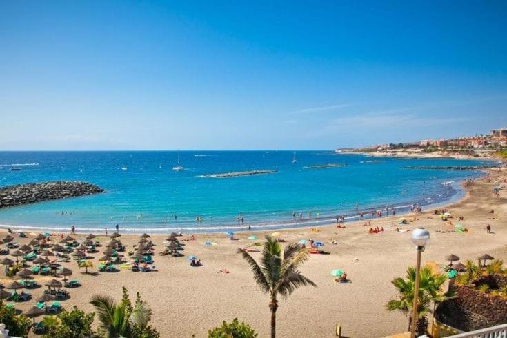 Amazing 3 Bedroom Apartment On The First Line Of The Best Las Americas Beach, Air Conditioner And Terrace Ocean View Playa de las Americas  Exterior foto